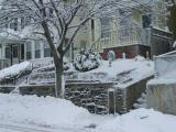Winter in East Somerville