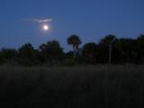 Moon over Florida