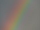 Rainbow Detail