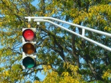 Signals in Autumn