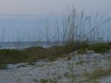 Cocoa Beach Dunes