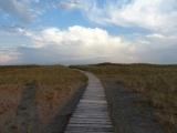 Boardwalk Journey
