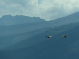 Mountain Flight