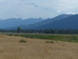 Grasses and Mountains