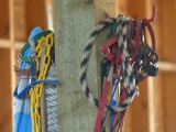 Colorful Halters