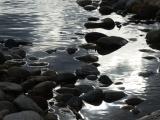 Reflective Water with Stones