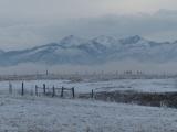 Winter Fields