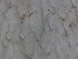 Textured Wall