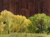 Autumn in Fruita