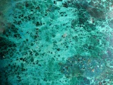Chrysocolla Detail