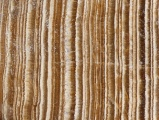 Banded Aragonite Detail