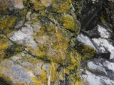 Colorful Mossy Rock Wall