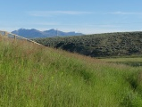 Grasses, Hills, and Mountains