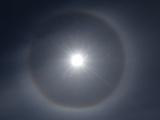 Haloed Sun