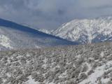 Bluish Mountains and Sagebrush