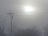 Wires in the January Mist
