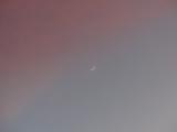 Crescent in a Sky of Pink and Blue