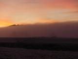Dawn Winter Fog