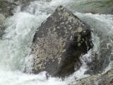 Boulder In the Stream