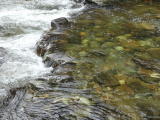 Clear Rushing Stream