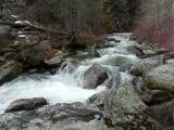 Kootenai Creek in April
