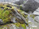 Landscape of Moss and Rock