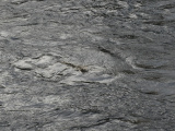 River Texture