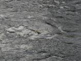 River Texture