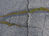 Growth in the Cracks
