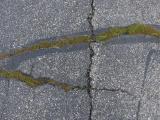 Growth in the Cracks