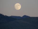 Full Moon over the Sapphires