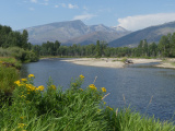 Bitterroot River in July