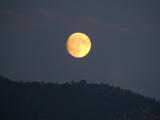 Yellow Moon