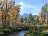 Autumn View over a Creek