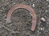 Horseshoe