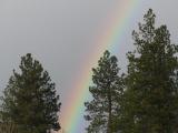 Winter Rainbow