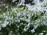 Spring and Winter