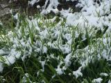 Spring and Winter