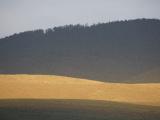 Sunlight on One Hill