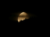 Emergence of the Moon