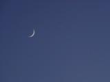 Moon and Venus in Twilight