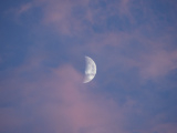 Waxing Moon with Pink Clouds