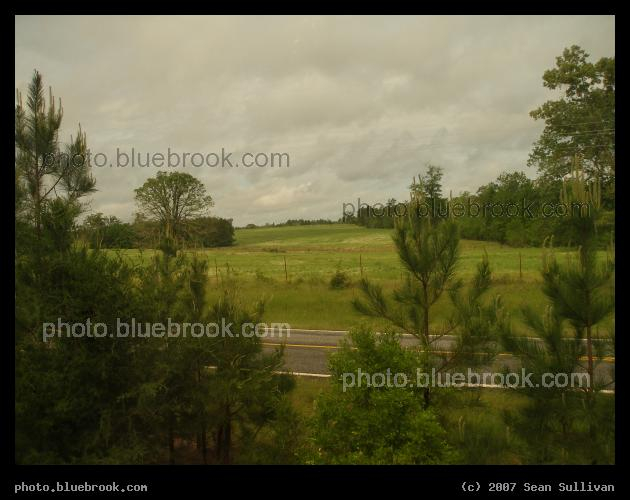Texas Field - Texas field seen from the 