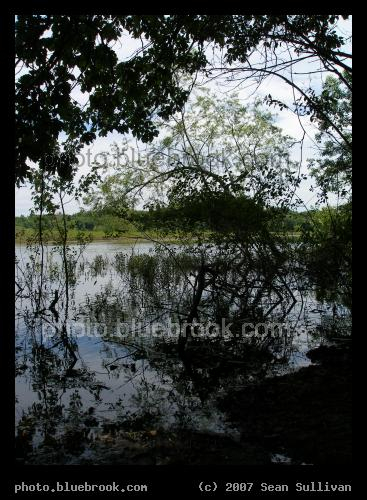 Great Meadows Shoreline - The water
