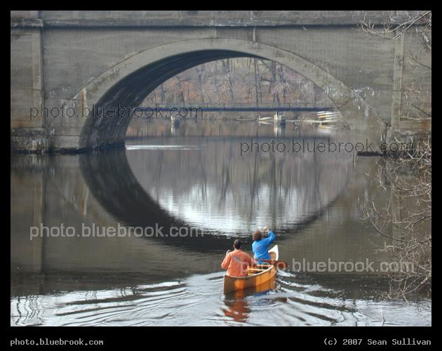 Riverside Park - In the water at Riverside Park, Charles River Reservation, Newton/Weston (MA) line