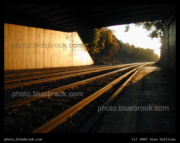 Waverley Light - The evening sun shines under a bridge, and along the rail tracks, at MBTA Waverley Station in Belmont MA