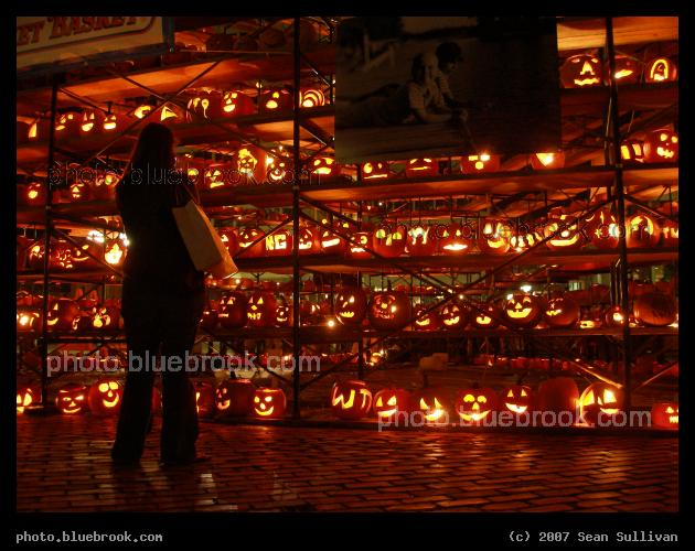 Halloween Display - A wall of Halloween pumpkins on display at City Hall Plaza in Boston MA
