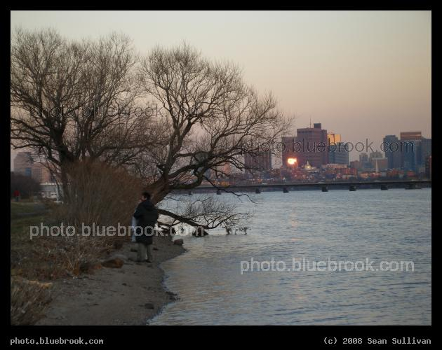Charles Riverbank - Along the bank of the Charles River in Cambridge MA, with the Boston skyline and Massachusetts Avenue bridge