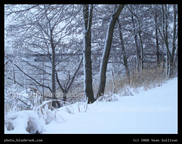 Snow Highlights - Winter at the Mystic River Reservation, Somerville MA
