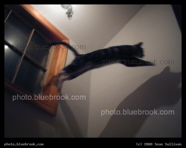 Leap! - Bella flying through the air, jumping from a second-story window ledge to a stair railing